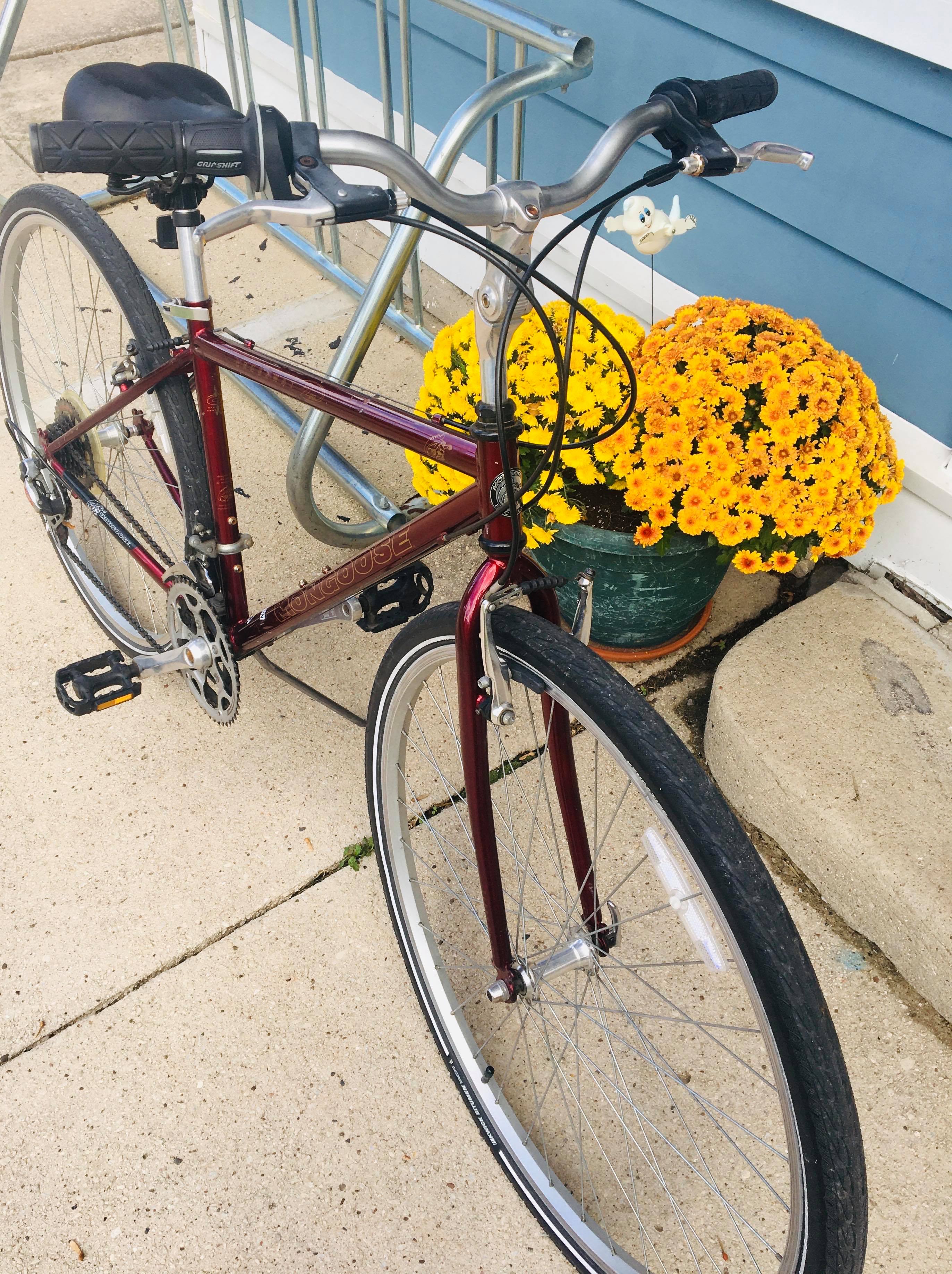 chain reaction cycles ebay store